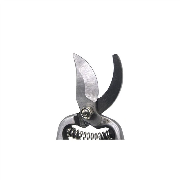 Wooden Handle Pruner 8 Inch